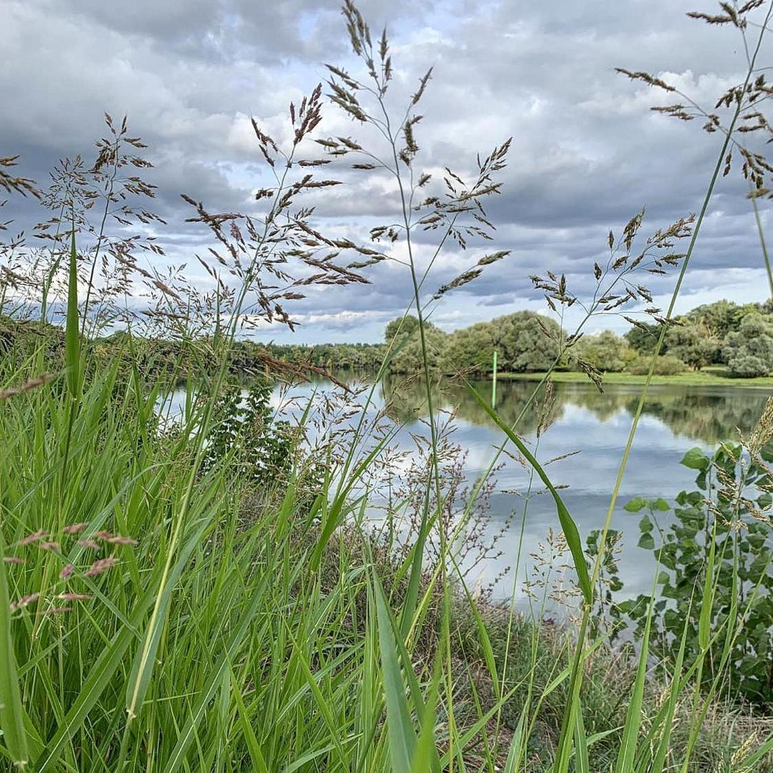 Les Annexes Vila Verdun-sur-le-Doubs Exterior foto